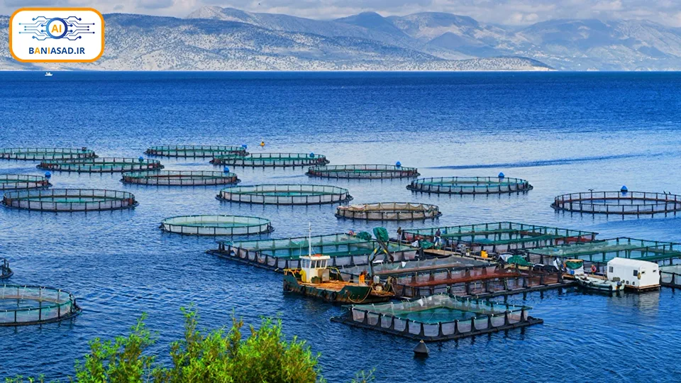 هوش مصنوعی و آبزیان: راهی نوین برای پرورش ماهی با هزینه کم